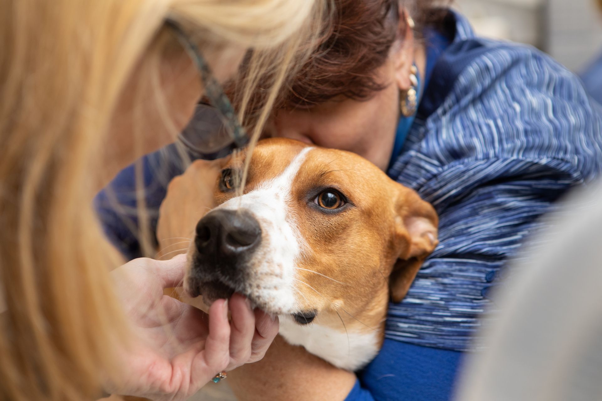 a person holding a dog