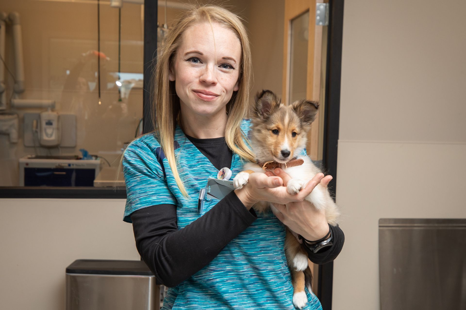 a person holding a dog