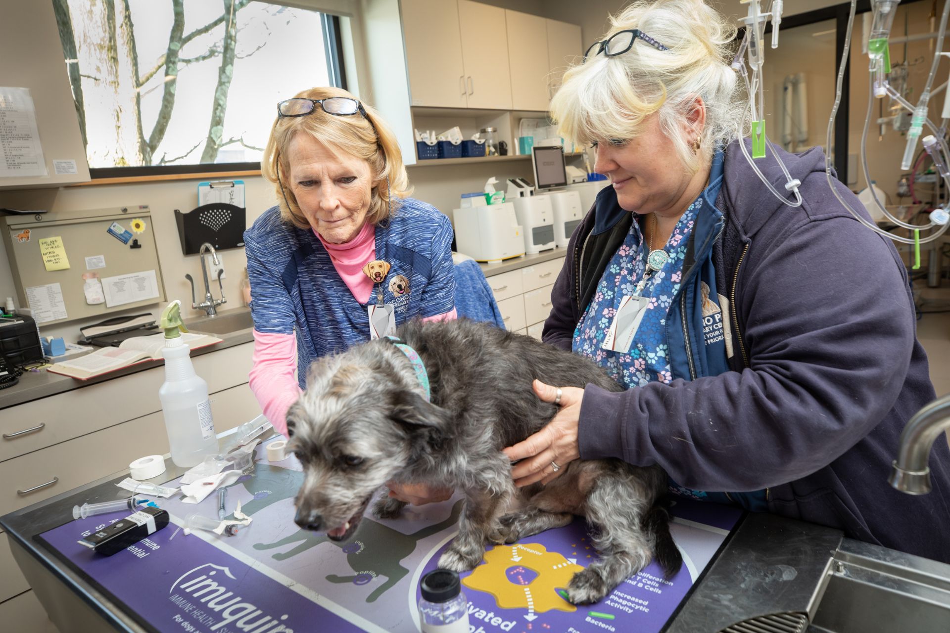 two women looking at a dog