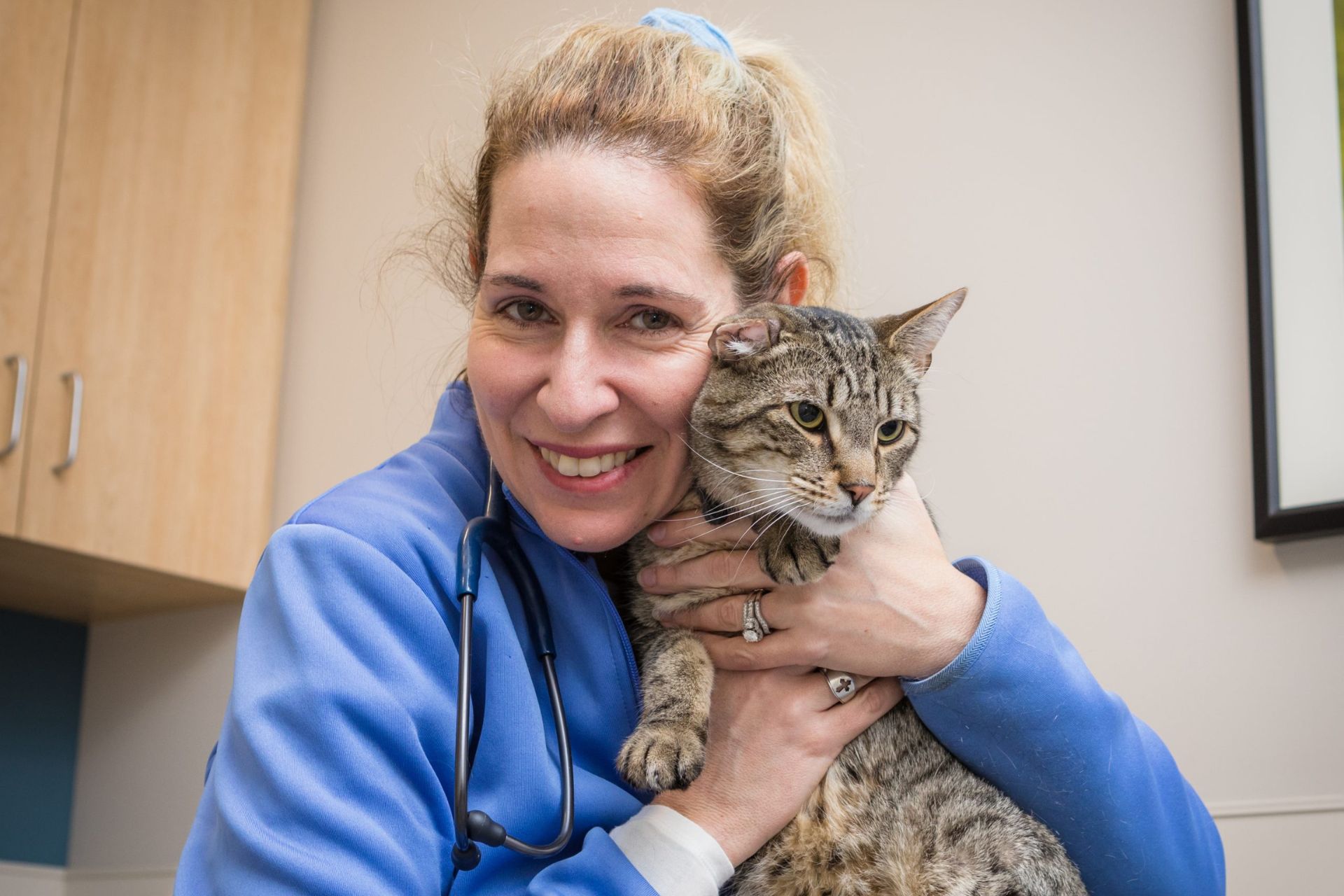 a person holding a cat