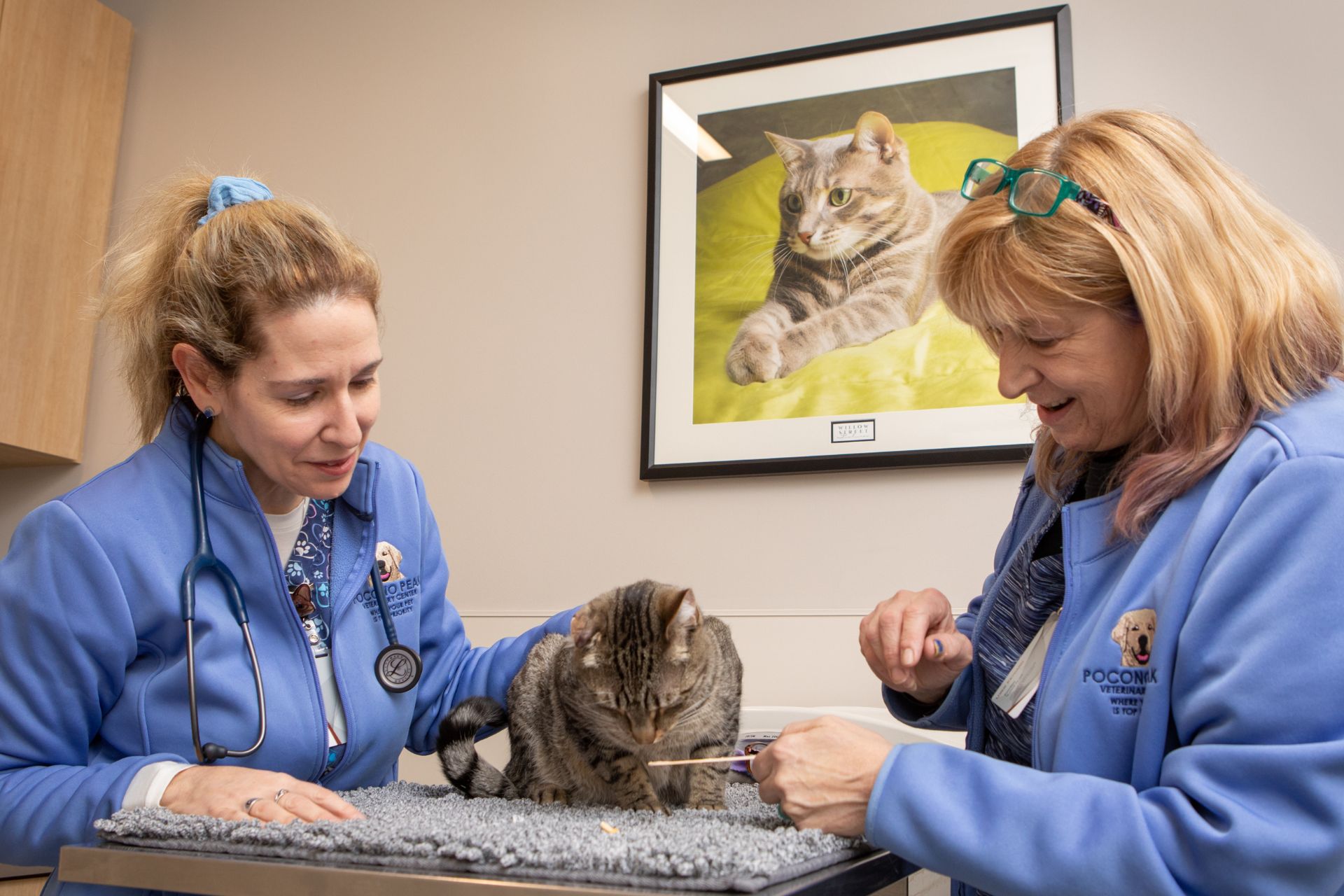 a couple of women standing next to a cat